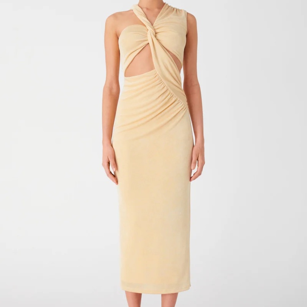 BNWT Misha Dress